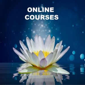 Courses - Online