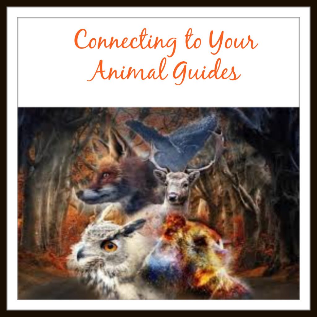 Connecting to your Spirit Animal – Aurora Centre Of Wellbeing